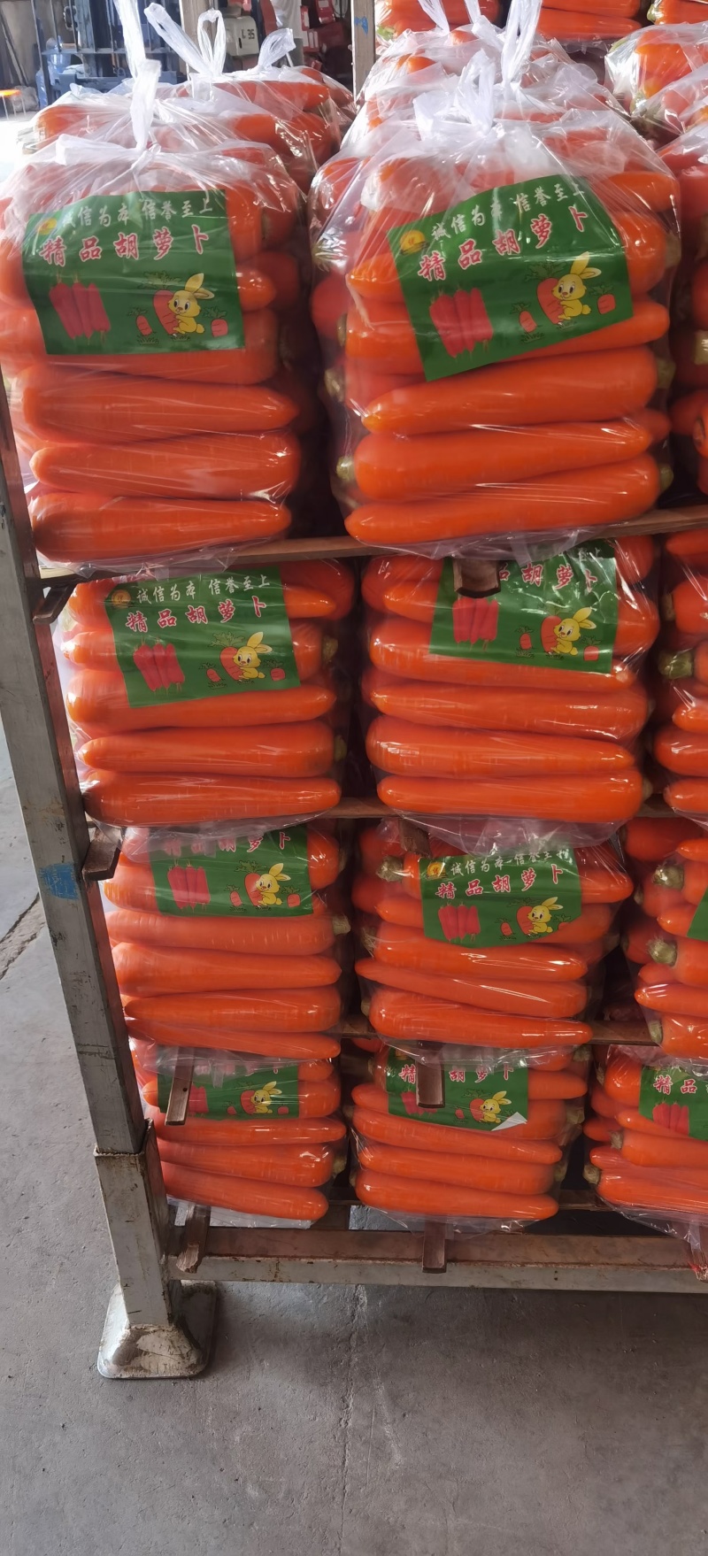 精品胡萝卜水洗小条中条对接电商超市全国市场产地直供