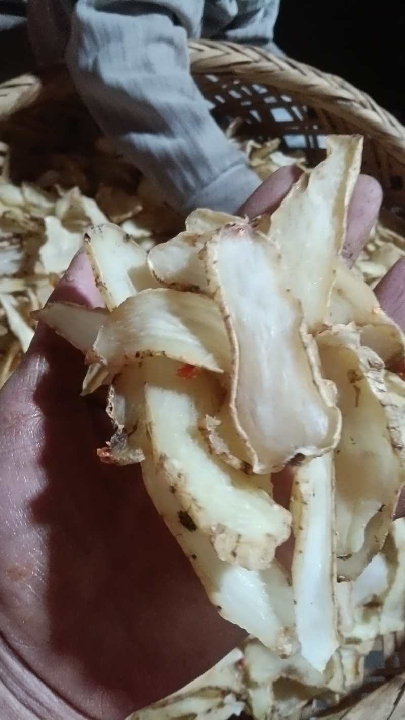 云南昭通小草坝干天麻片乌天麻产地直发一件代发