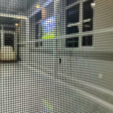 3049丝24目回卷柔钢特性:高清通透，空气流通