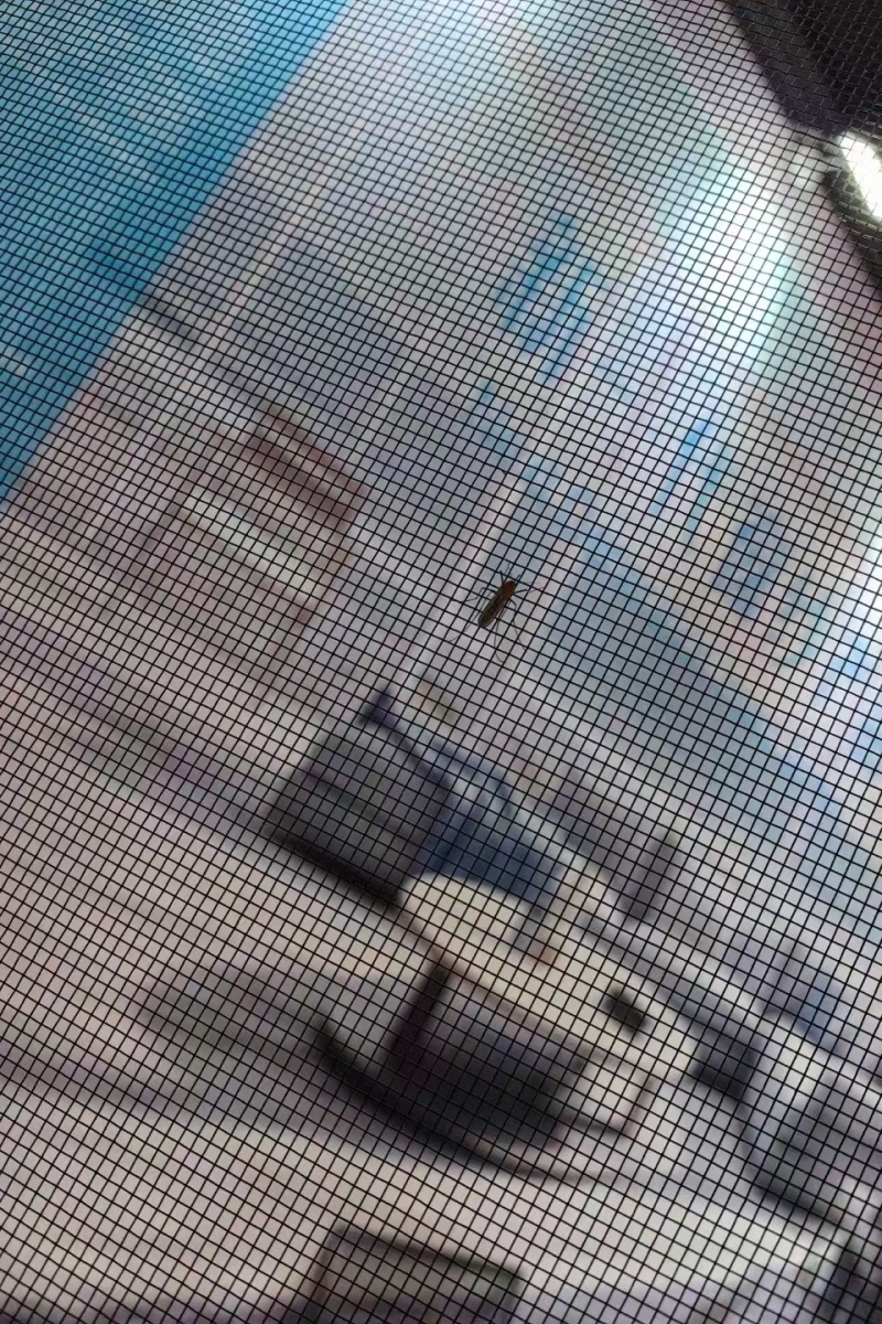 3049丝24目回卷柔钢特性:高清通透，空气流通