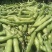 【牛商推荐】新鲜蚕豆无虫眼质量保证价格合理欢迎抢购
