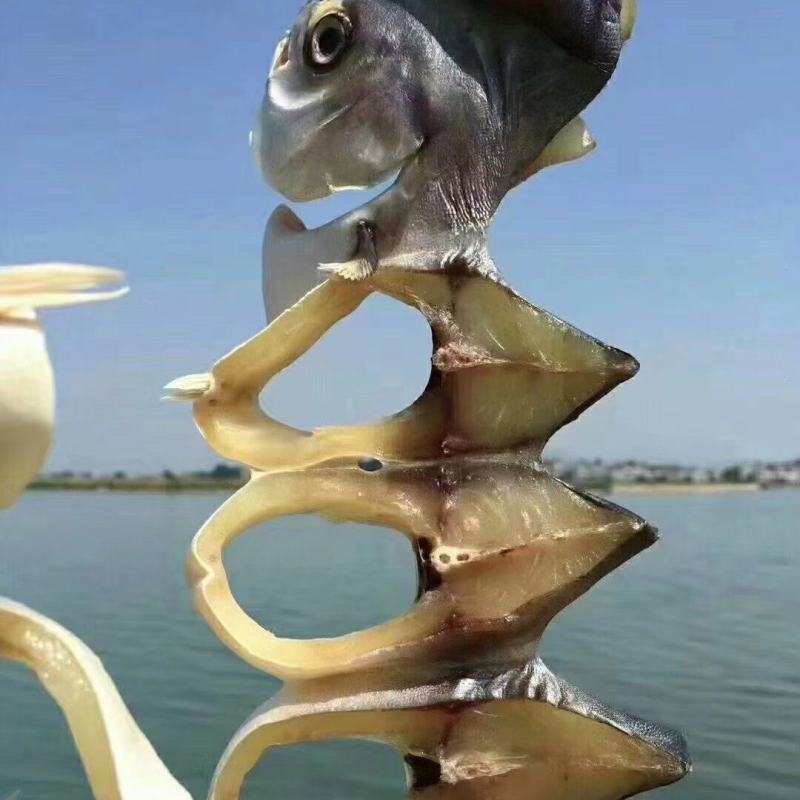 金鲳鱼干，网红金仓鱼干