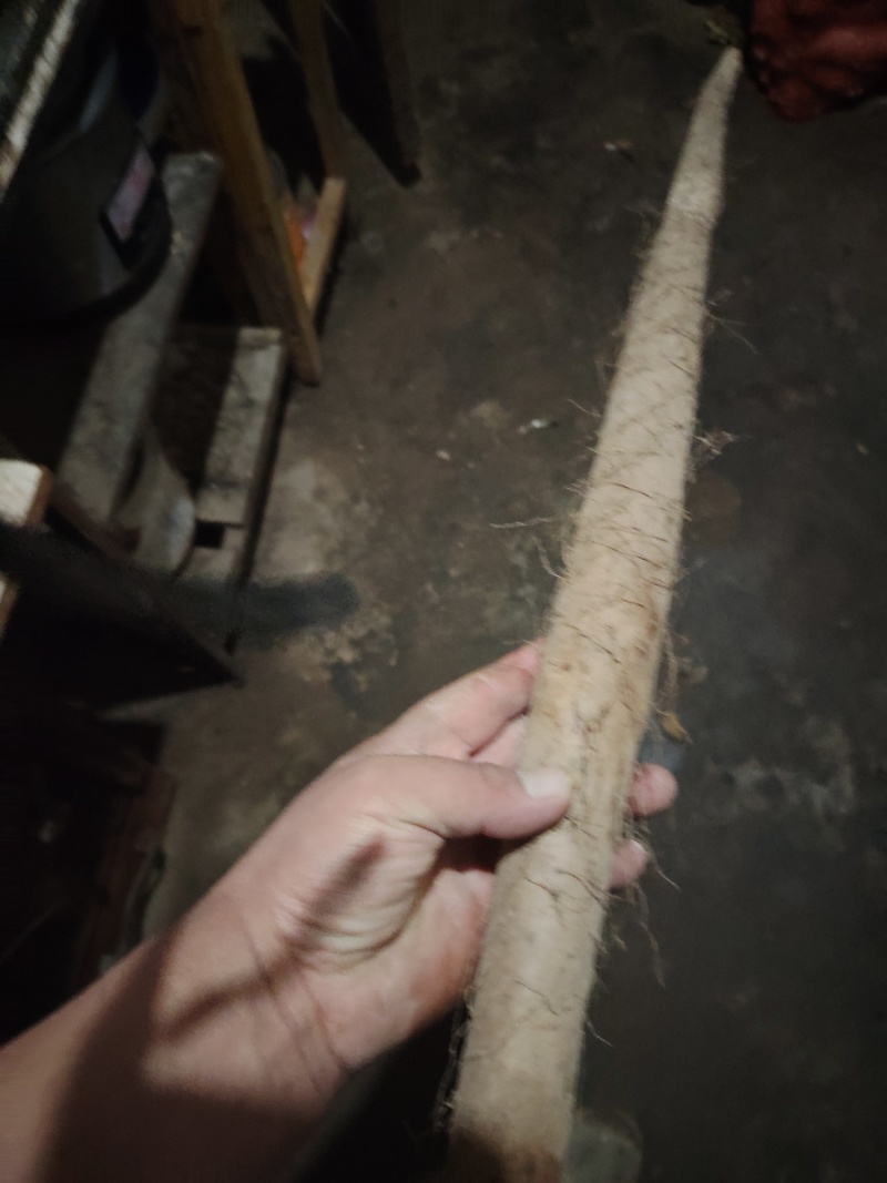 麻山药双棒铁棍白玉白嘴大量上市了批发市场平台