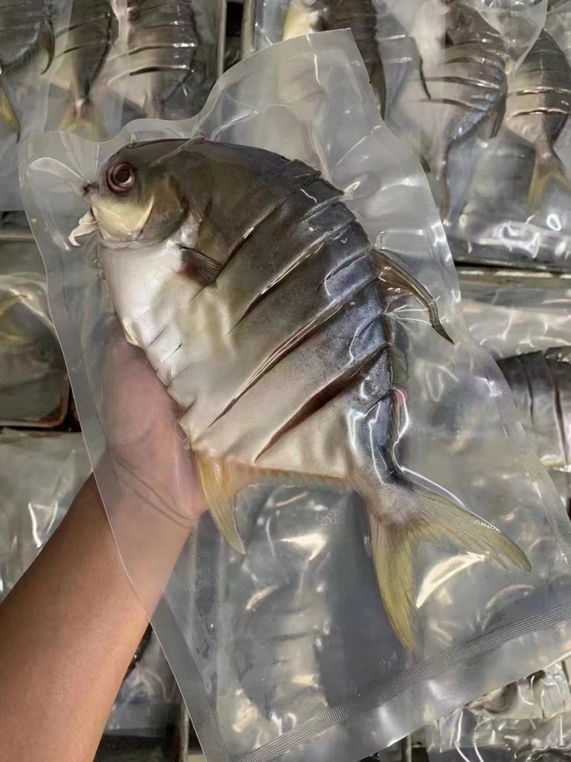 金鲳鱼干，网红金仓鱼干