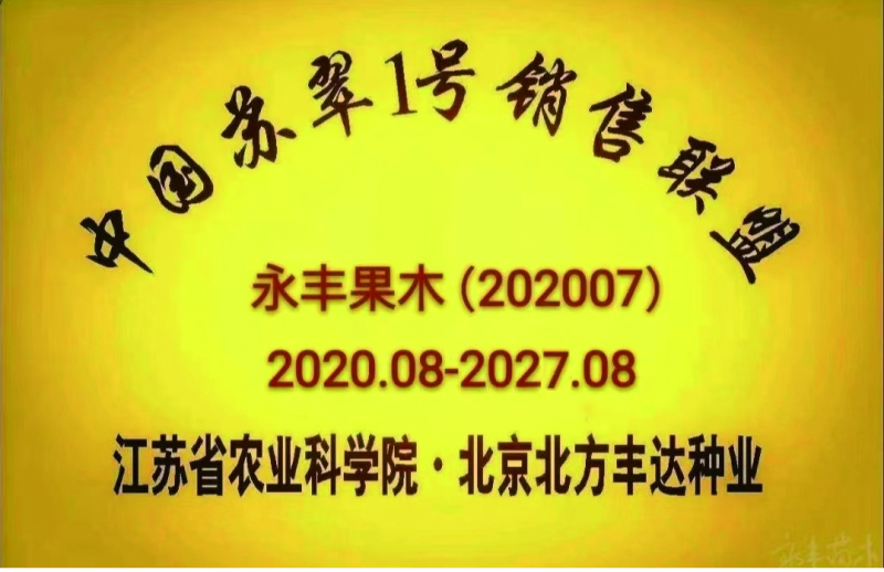 苏翠一号梨梨苗，成熟早甜度高，有经营许可证，死苗补发。