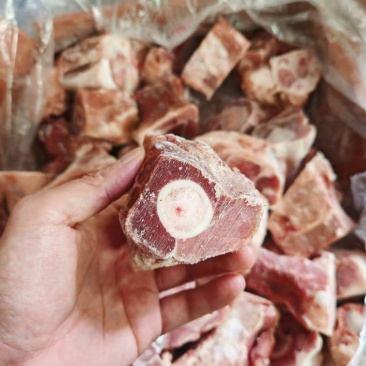 带腱后腿骨切块