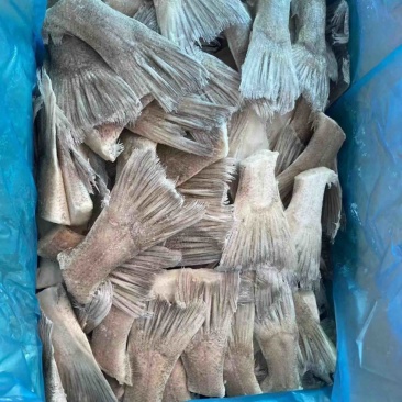 箭齿鲽鱼尾，剑齿鲽鱼尾。