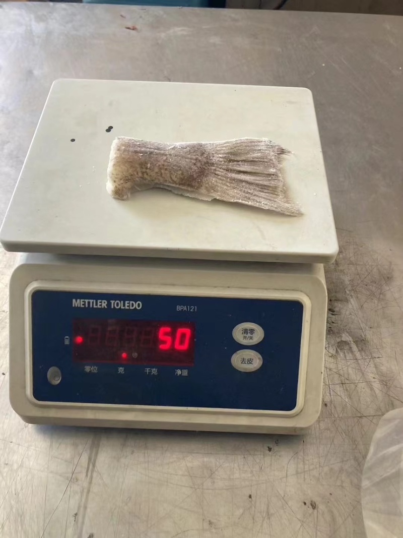 箭齿鲽鱼尾，剑齿鲽鱼尾。