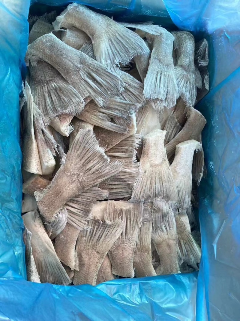 箭齿鲽鱼尾，剑齿鲽鱼尾。