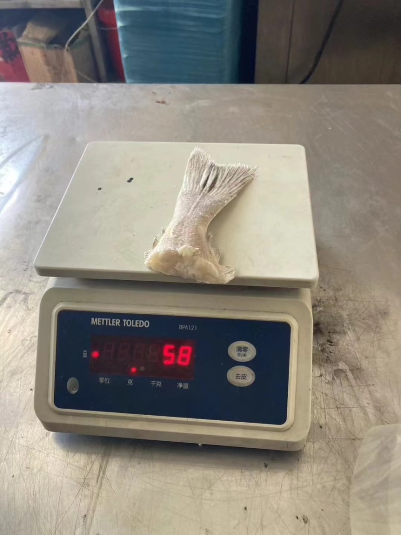 箭齿鲽鱼尾，剑齿鲽鱼尾。