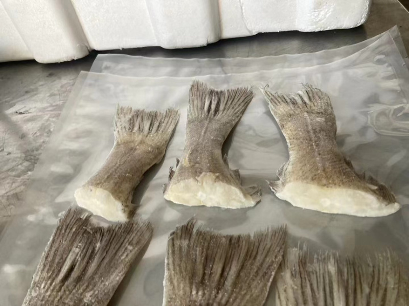 箭齿鲽鱼尾，剑齿鲽鱼尾。