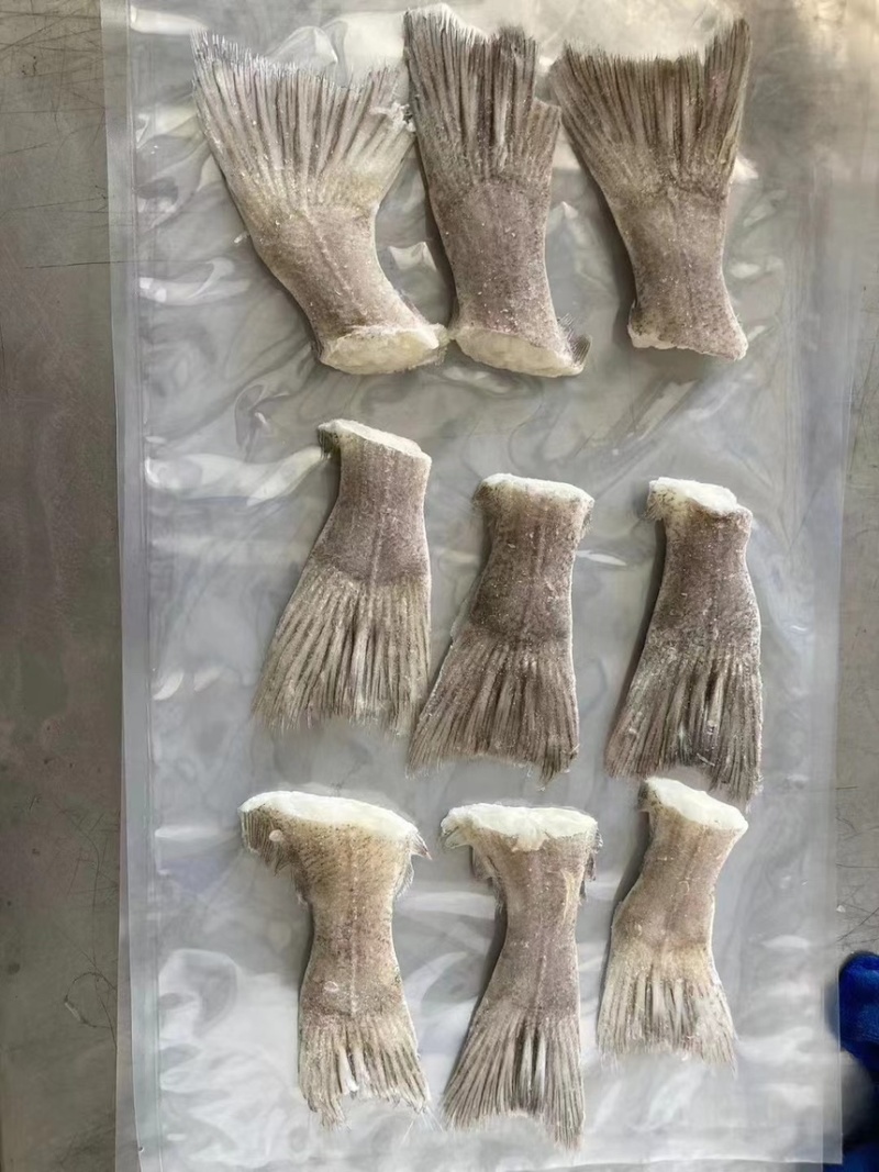 箭齿鲽鱼尾，剑齿鲽鱼尾。