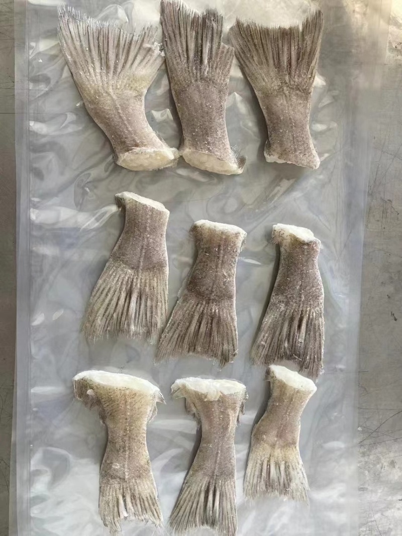 箭齿鲽鱼尾，剑齿鲽鱼尾。