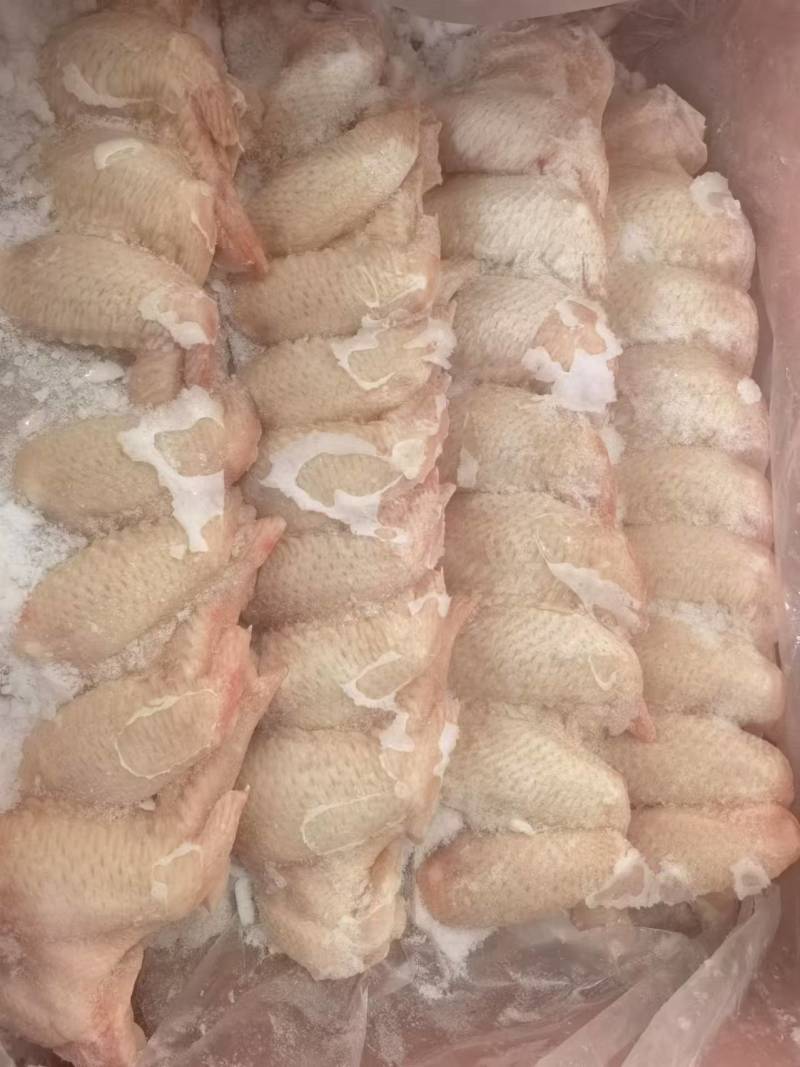 冻品批发鸡翅全翅量大从优