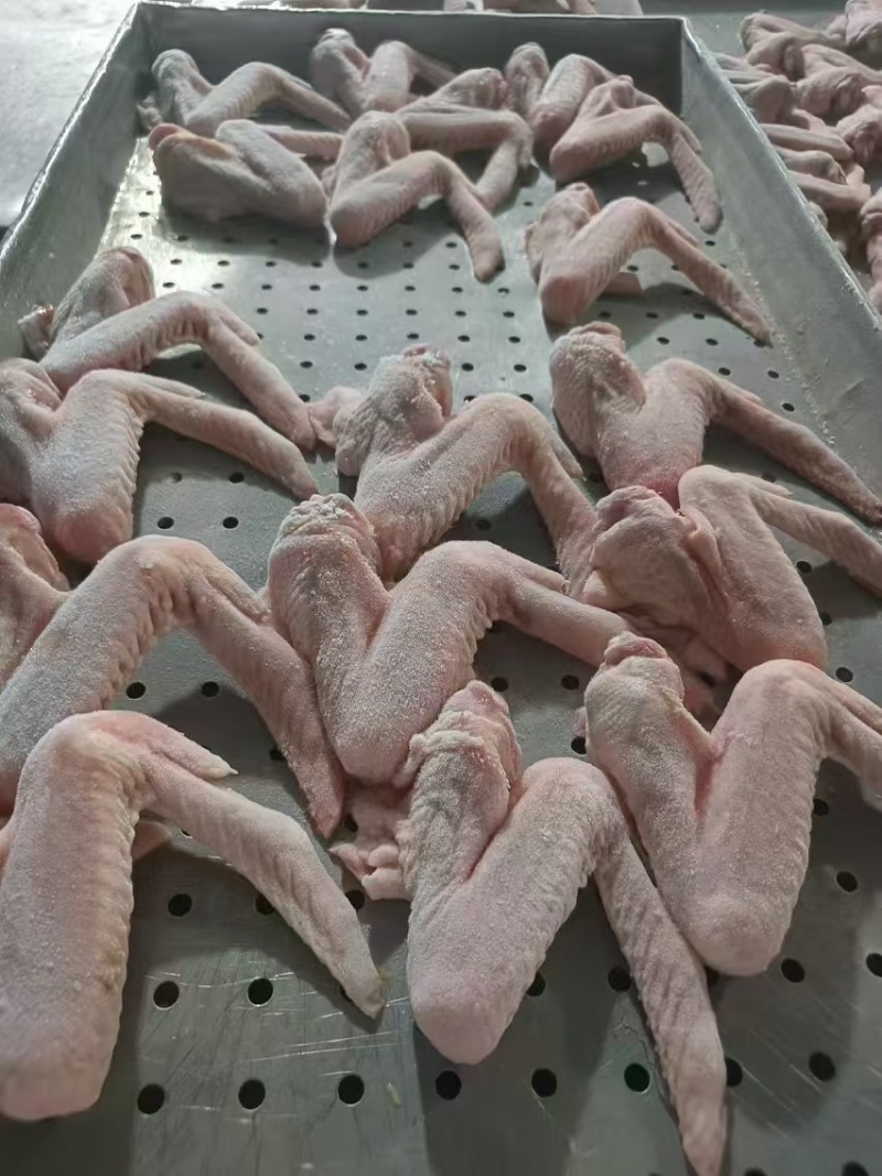 冻品批发鸡翅全翅量大从优