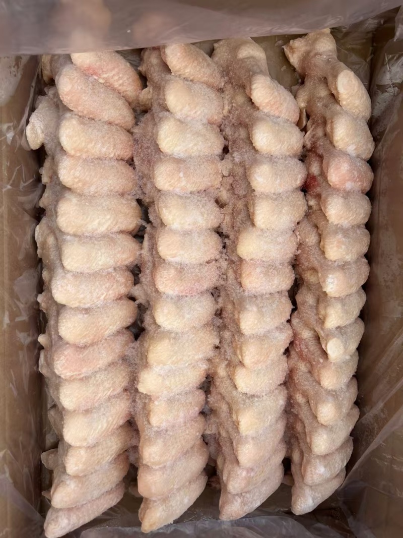 冻品批发鸡翅全翅量大从优