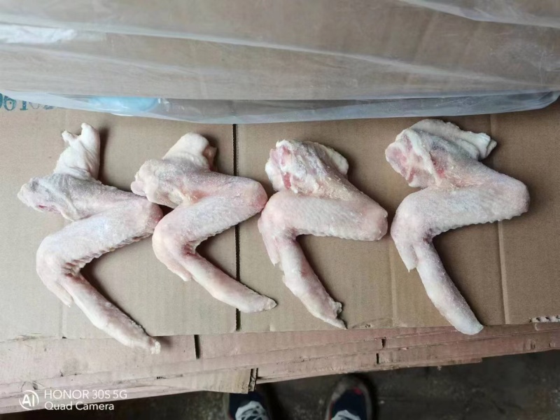 冻品批发鸡翅全翅量大从优