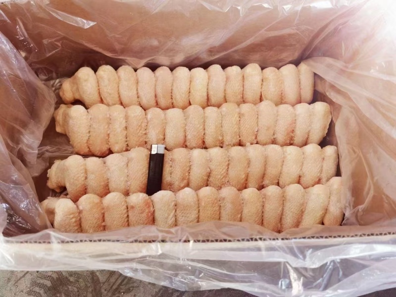 冻品批发鸡翅全翅量大从优
