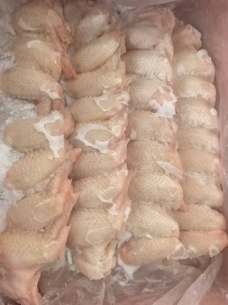 冻品批发鸡翅全翅量大从优