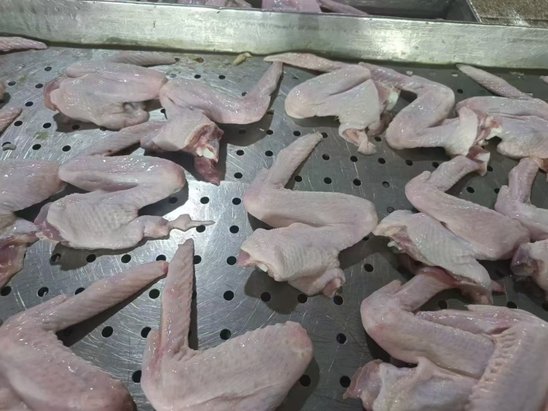 冻品批发鸡翅全翅量大从优