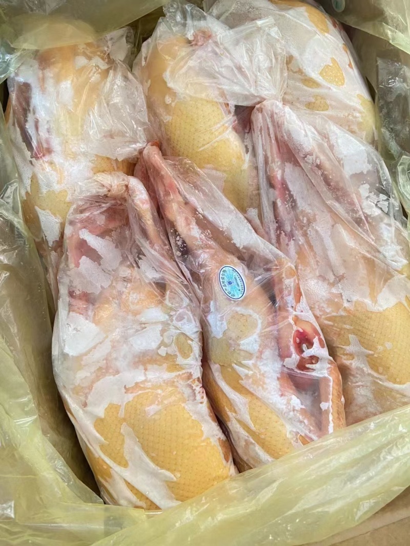 红头鸭现货，18公斤8只9只有量的老板欢迎询价，24小时