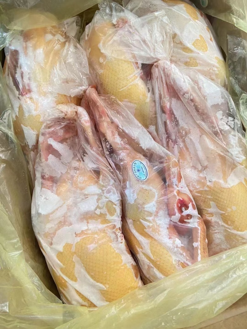 红头鸭现货，18公斤8只9只有量的老板欢迎询价，24小时