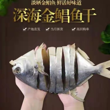 广东特产深海金鲳鱼干，一手货源，自产自销5两6两7两