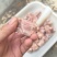 排骨粒