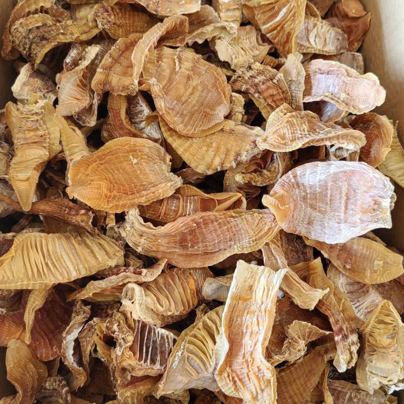 高山无盐笋干厂家直供品质保证诚信经营。