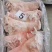 猪头