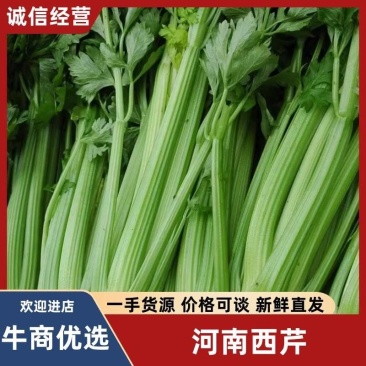 河南芹菜/精品西芹/产地直发/供应全国/承接电商团购