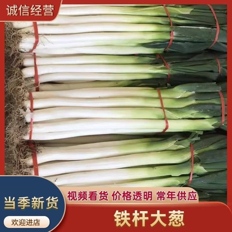 河南大葱/铁杆大葱/产地货源/承接电商市场/社区团购