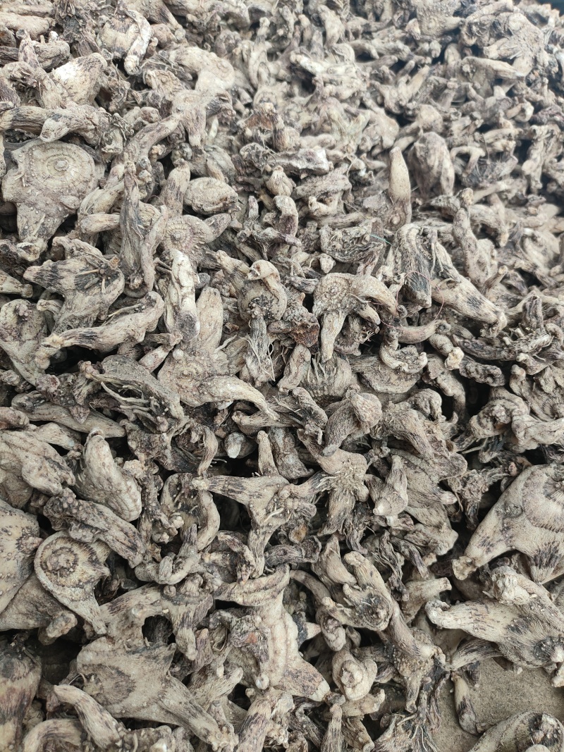 白芨个子，产地直发，品种纯正，量大从优，诚信经营