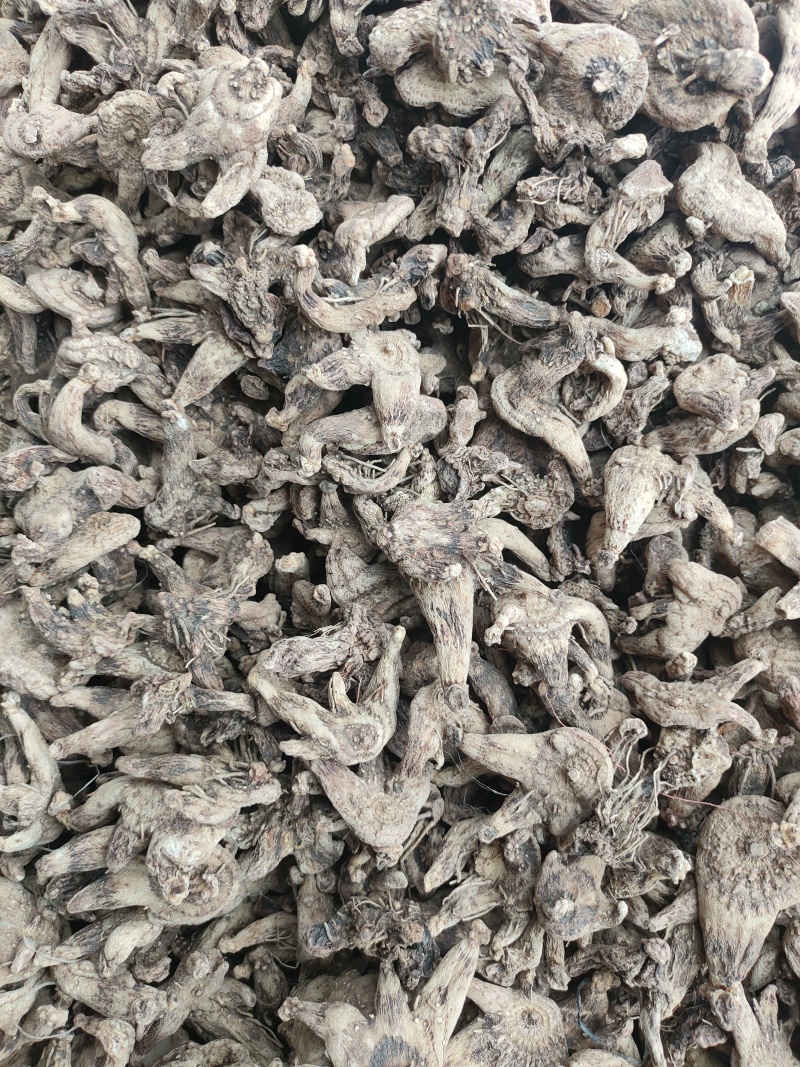 白芨个子，产地直发，品种纯正，量大从优，诚信经营
