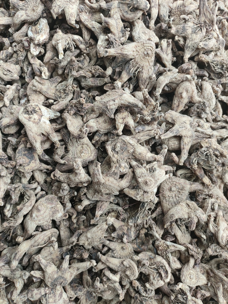 白芨个子，产地直发，品种纯正，量大从优，诚信经营