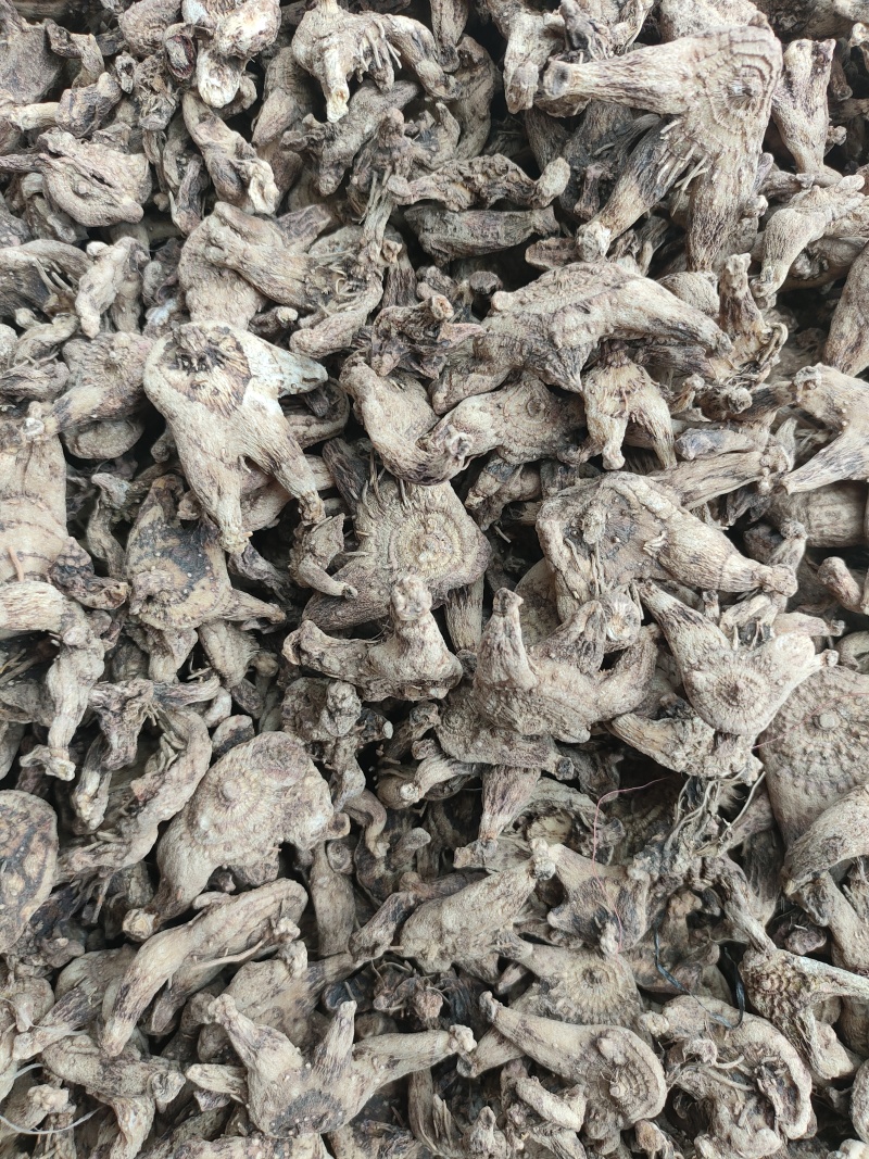 白芨个子，产地直发，品种纯正，量大从优，诚信经营