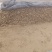 河南白玉