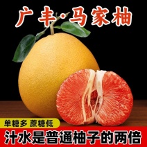 广丰马家柚江西上饶特产红肉红心柚子新鲜应季现摘时令孕妇水