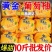 超甜爆汁黄金葡萄柚福建平和柚子当季新鲜水果黄金葡萄柚