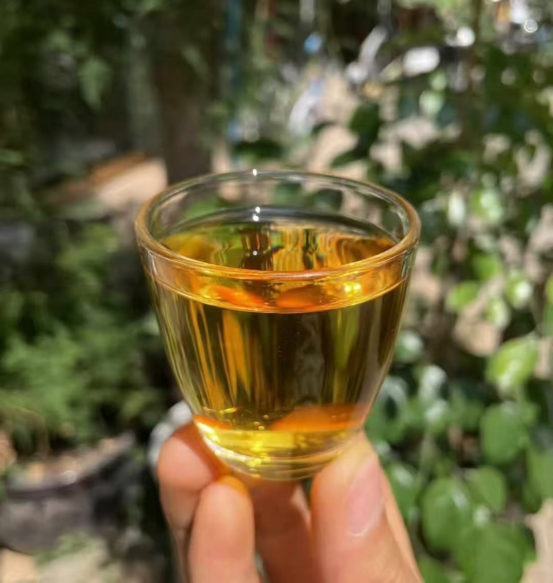 **百年古树野生红茶品质**，红裤嫩叶多，花香甜揉