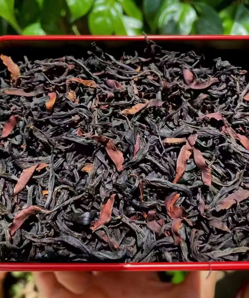 **百年古树野生红茶品质**，红裤嫩叶多，花香甜揉