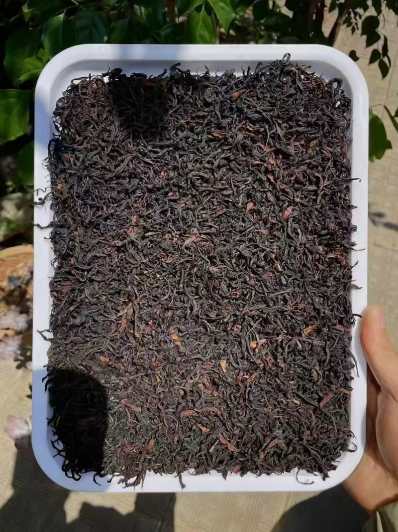 **百年古树野生红茶品质**，红裤嫩叶多，花香甜揉