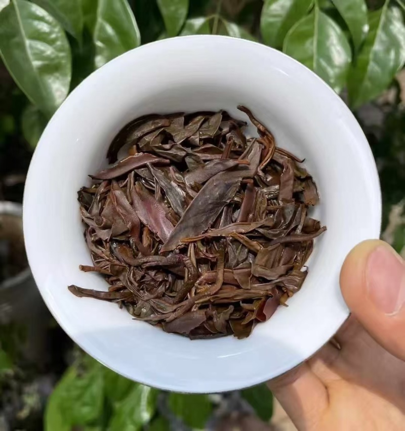 **百年古树野生红茶品质**，红裤嫩叶多，花香甜揉