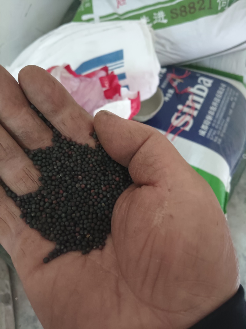 油菜籽