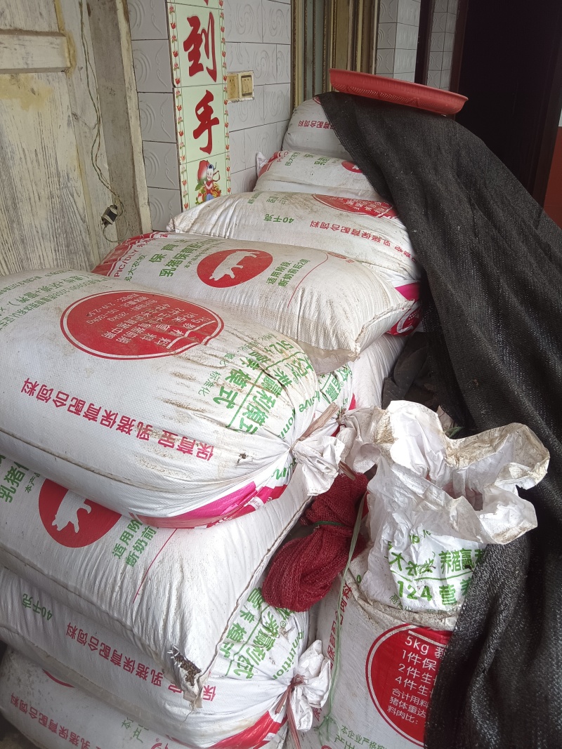 油菜籽