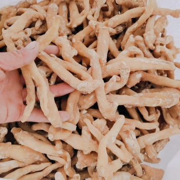 黄精