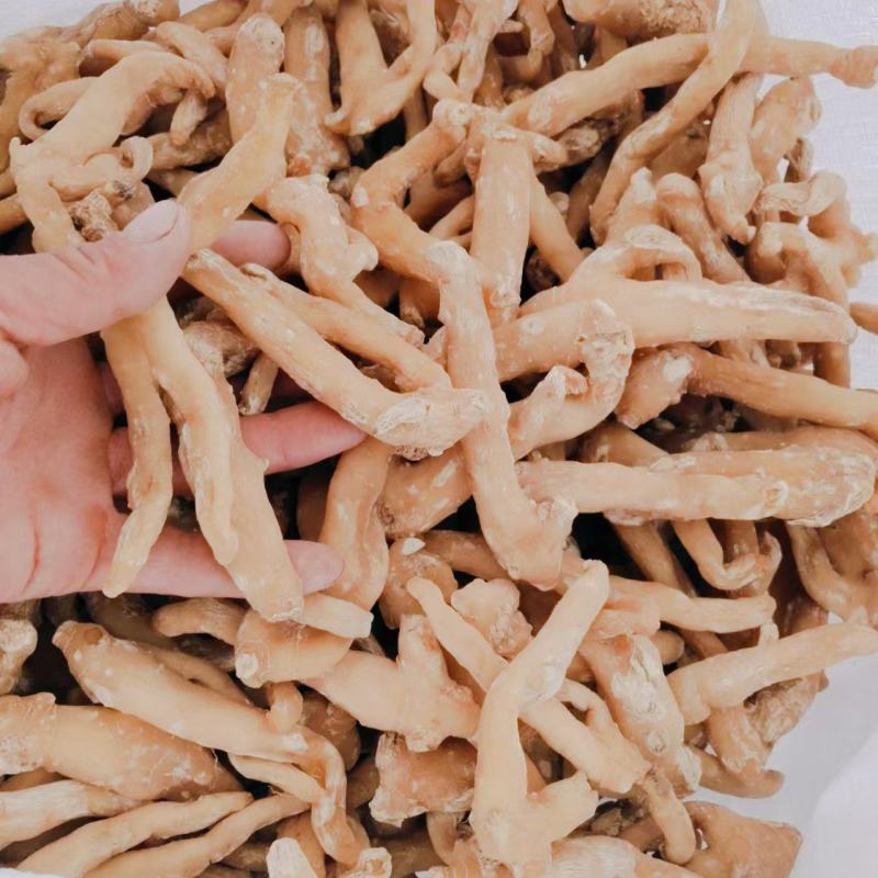 黄精