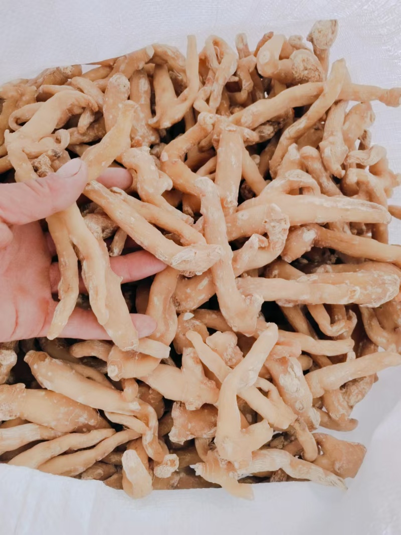黄精