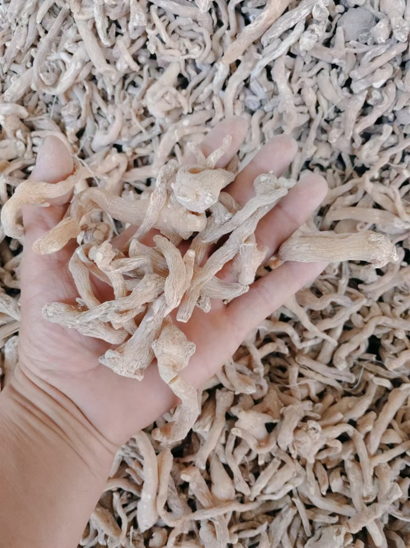 黄精