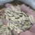 多味五香中料